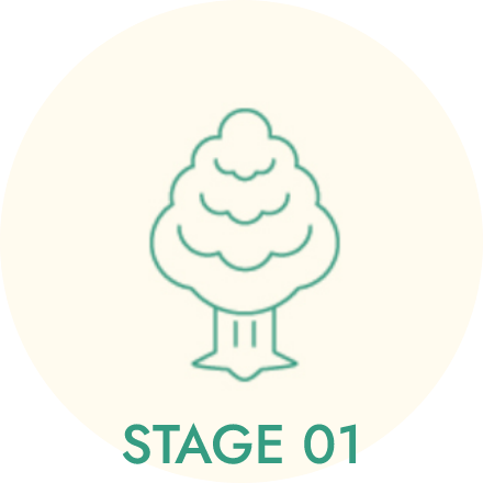STAGE 01