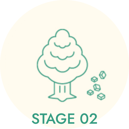 STAGE 02